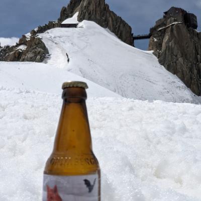 Une Fox à L'aiguille du midi