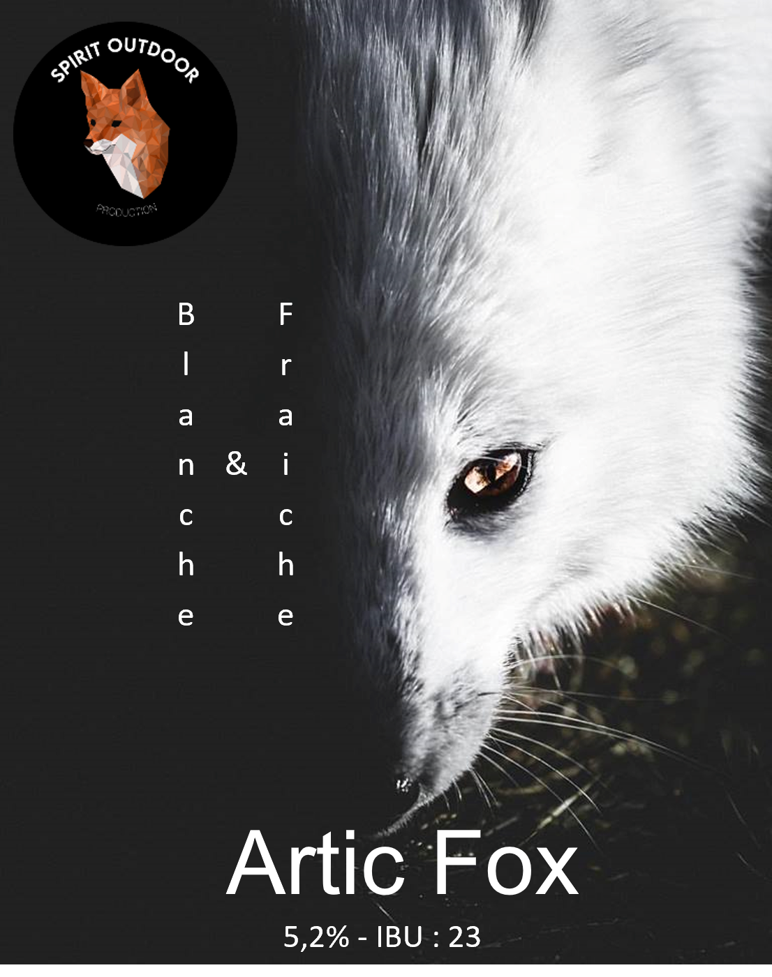 Artic fox 2