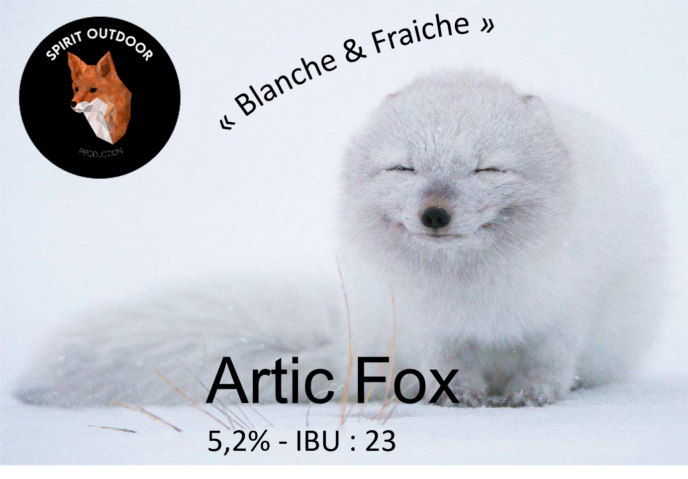 Artic fox