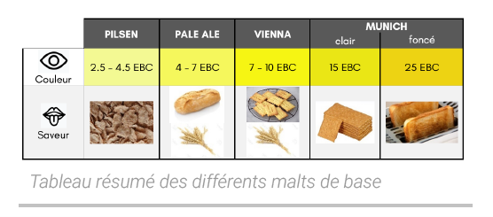 Les malts de base